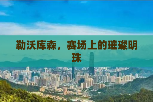 勒沃库森，赛场上的璀璨明珠