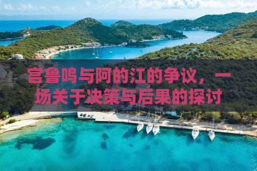 宫鲁鸣与阿的江的争议，一场关于决策与后果的探讨