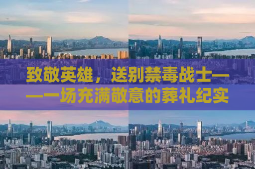 致敬英雄，送别禁毒战士——一场充满敬意的葬礼纪实