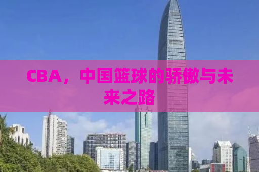 CBA，中国篮球的骄傲与未来之路