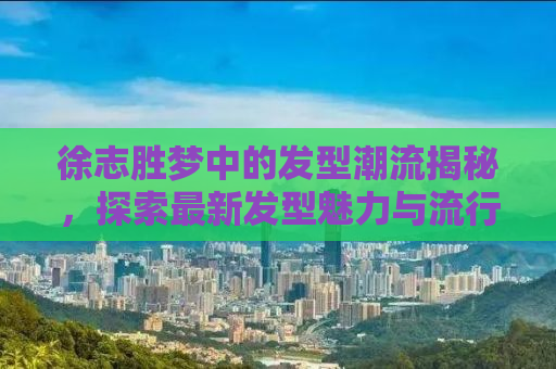 徐志胜梦中的发型潮流揭秘，探索最新发型魅力与流行趋势