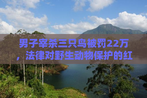 男子宰杀三只鸟被罚22万，法律对野生动物保护的红线