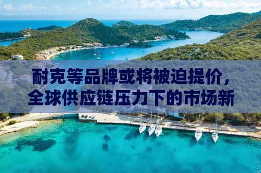 耐克等品牌或将被迫提价，全球供应链压力下的市场新动向