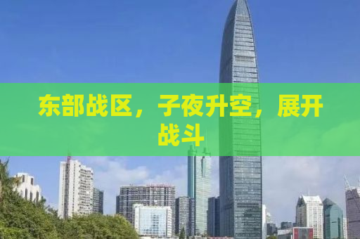 东部战区，子夜升空，展开战斗
