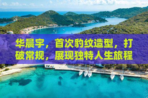 华晨宇，首次豹纹造型，打破常规，展现独特人生旅程