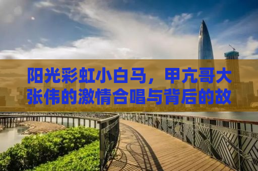 阳光彩虹小白马，甲亢哥大张伟的激情合唱与背后的故事
