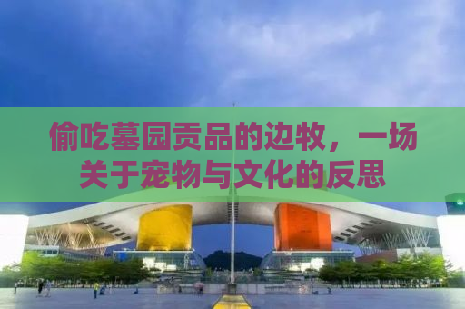 偷吃墓园贡品的边牧，一场关于宠物与文化的反思