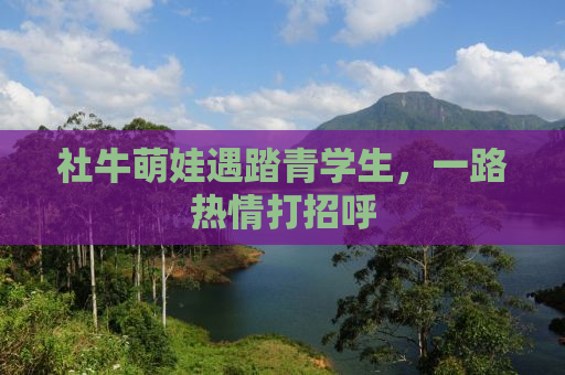 社牛萌娃遇踏青学生，一路热情打招呼