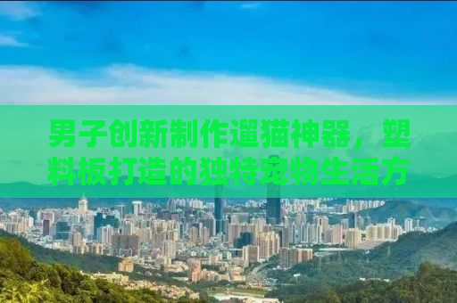 男子创新制作遛猫神器，塑料板打造的独特宠物生活方式