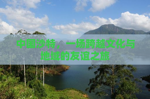 中国沙特，一场跨越文化与地域的友谊之旅