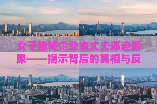 女子称被企业家丈夫逼迫喝尿——揭示背后的真相与反思