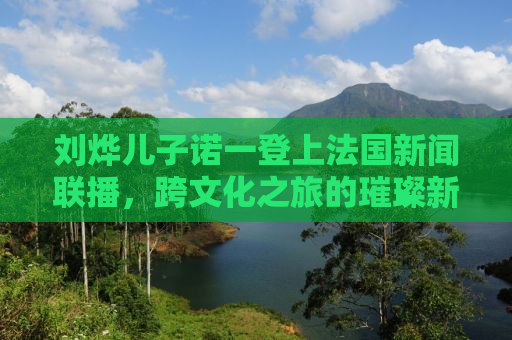 刘烨儿子诺一登上法国新闻联播，跨文化之旅的璀璨新星