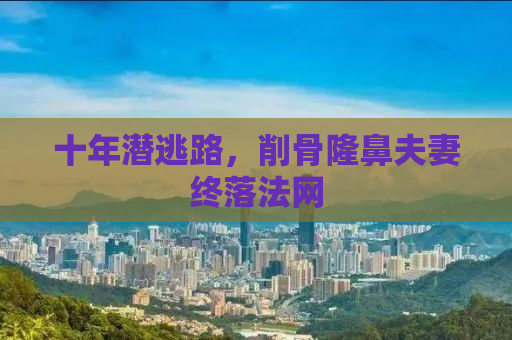 十年潜逃路，削骨隆鼻夫妻终落法网