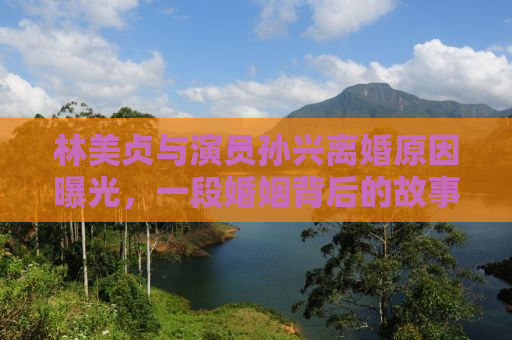林美贞与演员孙兴离婚原因曝光，一段婚姻背后的故事