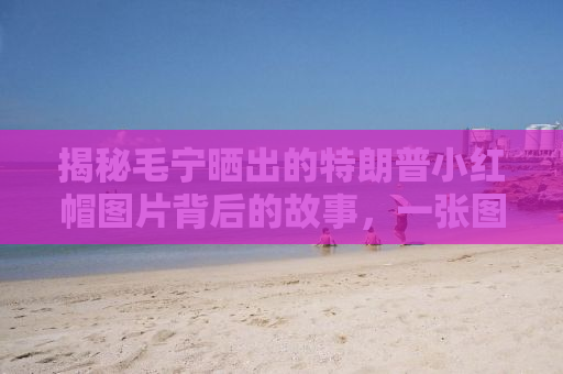 揭秘毛宁晒出的特朗普小红帽图片背后的故事，一张图引发77美元的涨势？