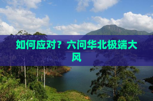 如何应对？六问华北极端大风