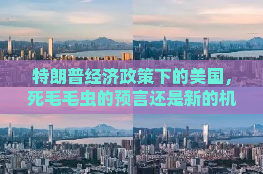 特朗普经济政策下的美国，死毛毛虫的预言还是新的机遇？