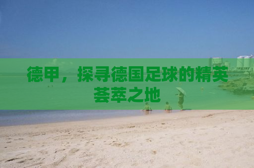 德甲，探寻德国足球的精英荟萃之地