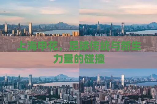 上海申花，足球传统与新生力量的碰撞