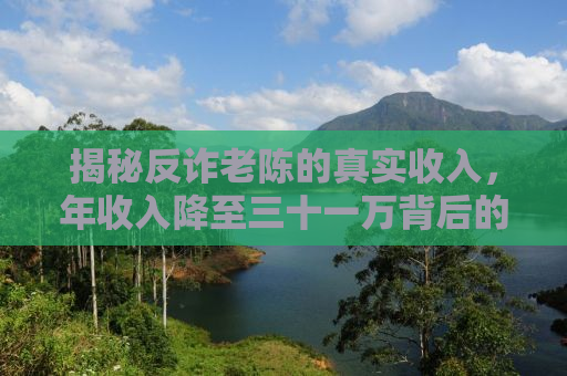 揭秘反诈老陈的真实收入，年收入降至三十一万背后的故事