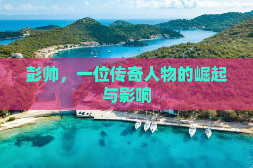 彭帅，一位传奇人物的崛起与影响