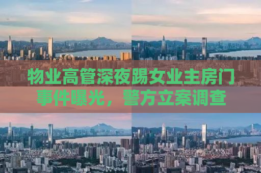 物业高管深夜踢女业主房门事件曝光，警方立案调查