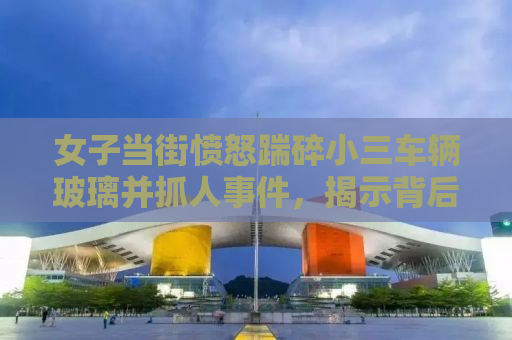 女子当街愤怒踹碎小三车辆玻璃并抓人事件，揭示背后的真相与反思