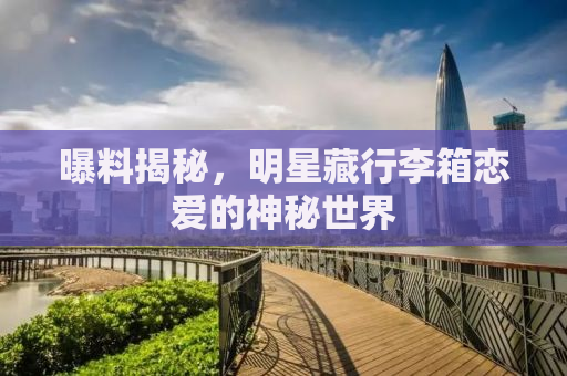 曝料揭秘，明星藏行李箱恋爱的神秘世界