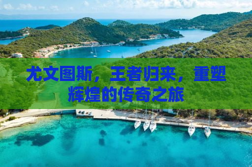 尤文图斯，王者归来，重塑辉煌的传奇之旅