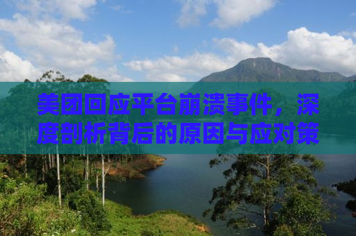 美团回应平台崩溃事件，深度剖析背后的原因与应对策略
