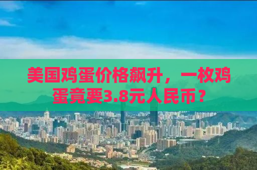 美国鸡蛋价格飙升，一枚鸡蛋竟要3.8元人民币？
