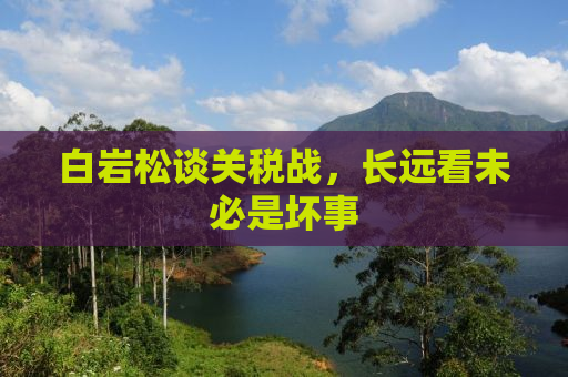 白岩松谈关税战，长远看未必是坏事