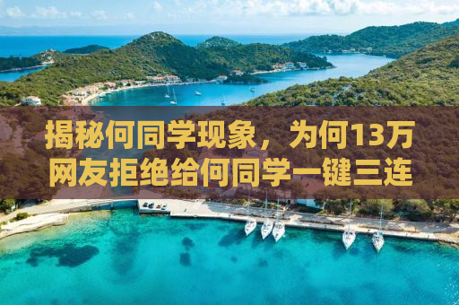 揭秘何同学现象，为何13万网友拒绝给何同学一键三连？