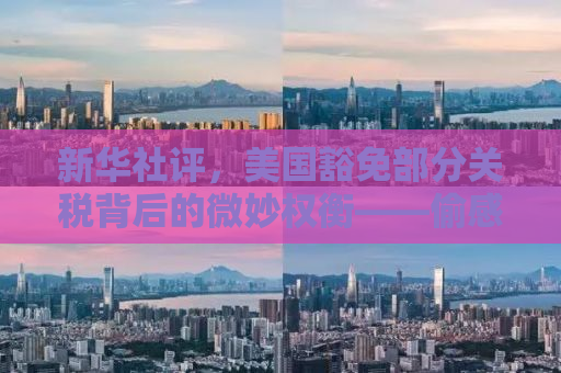 新华社评，美国豁免部分关税背后的微妙权衡——偷感之重