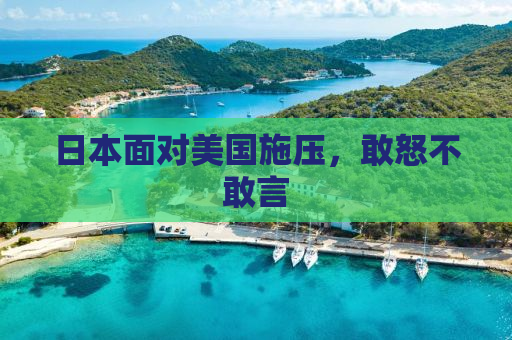 日本面对美国施压，敢怒不敢言