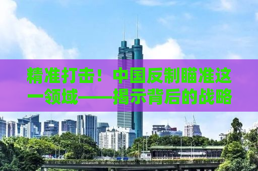 精准打击！中国反制瞄准这一领域——揭示背后的战略考量与未来走向
