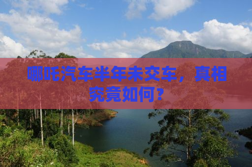 哪吒汽车半年未交车，真相究竟如何？