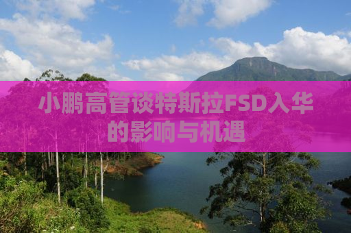 小鹏高管谈特斯拉FSD入华的影响与机遇