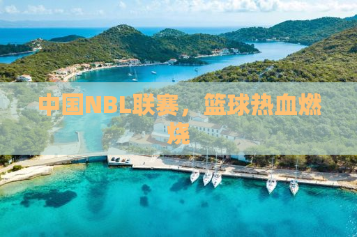 中国NBL联赛，篮球热血燃烧