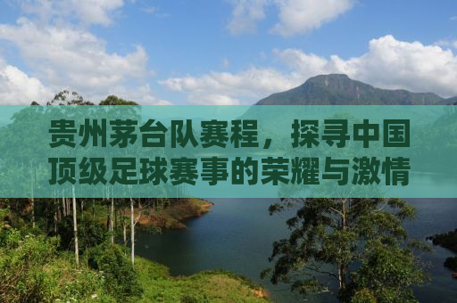 贵州茅台队赛程，探寻中国顶级足球赛事的荣耀与激情