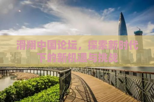 滑翔中国论坛，探索新时代下的新机遇与挑战