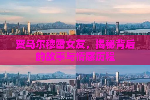 贾马尔穆雷女友，揭秘背后的故事与情感历程