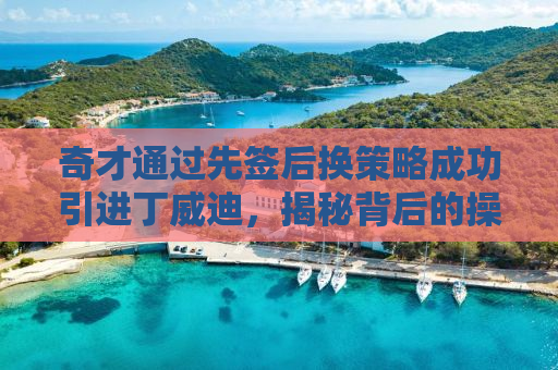 奇才通过先签后换策略成功引进丁威迪，揭秘背后的操作与意义
