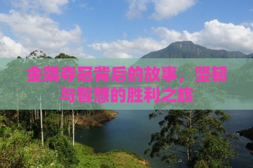 金隅夺冠背后的故事，坚韧与智慧的胜利之旅