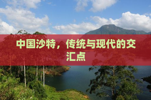 中国沙特，传统与现代的交汇点