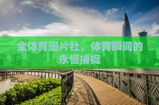 全体育图片社，体育瞬间的永恒捕捉