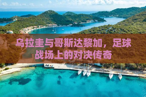 乌拉圭与哥斯达黎加，足球战场上的对决传奇