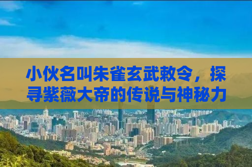 小伙名叫朱雀玄武敕令，探寻紫薇大帝的传说与神秘力量