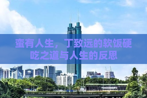 蛮有人生，丁致远的软饭硬吃之道与人生的反思
