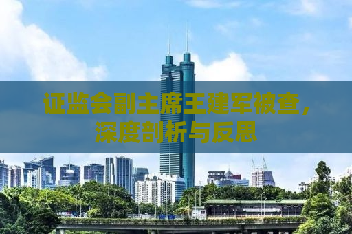 证监会副主席王建军被查，深度剖析与反思
